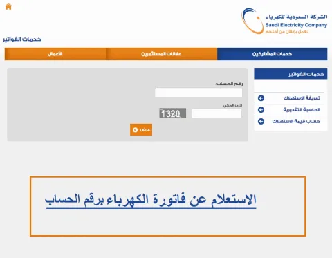 أسعار الفراخ اليوم في بورصة الدواجن.. استقرار الفراخ البيضاء والبلدي مع أسعار البيض المحدثة يوميًا