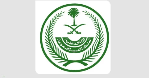 السعودية تعلن نتائج حادثة فلاي دبي