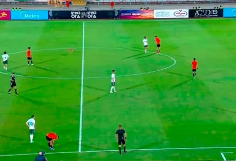 ضيف غير متوقع يوقف مباراة في الدوري المصري