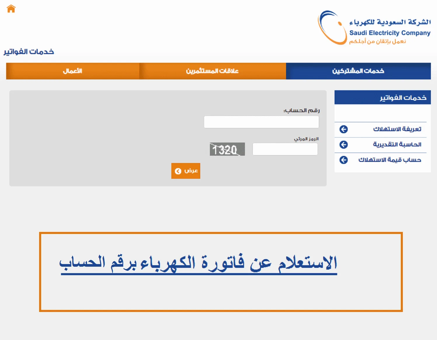 أسعار الفراخ اليوم في بورصة الدواجن.. استقرار الفراخ البيضاء والبلدي مع أسعار البيض المحدثة يوميًا