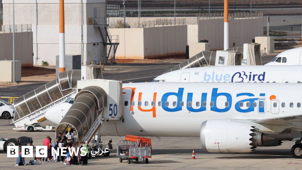 فلاي دبي: طعن الطيار ومحاولة إسقاط الطائرة