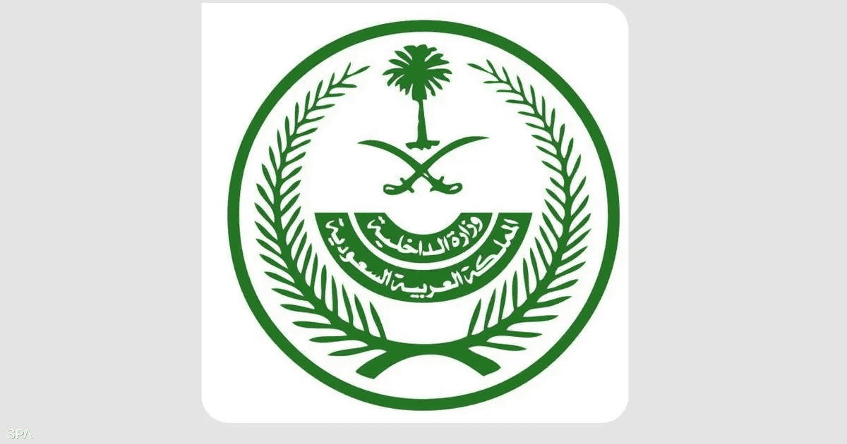السعودية تعلن نتائج حادثة فلاي دبي