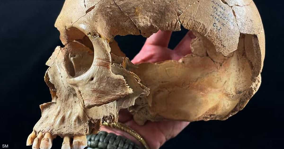 عظام كهوف إسبانيا تكشف أسرار أكل البشر