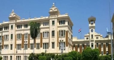 إحالة مسؤولي جمعية مصر الجديدة للنيابة بسبب القطع الجائر لأشجار حديقة الطفل