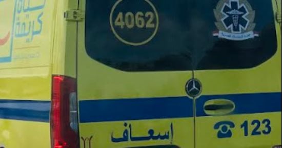 إصابة شخص فى مشاجرة بين عائلتين بسبب الزراعات بجرجا فى سوهاج