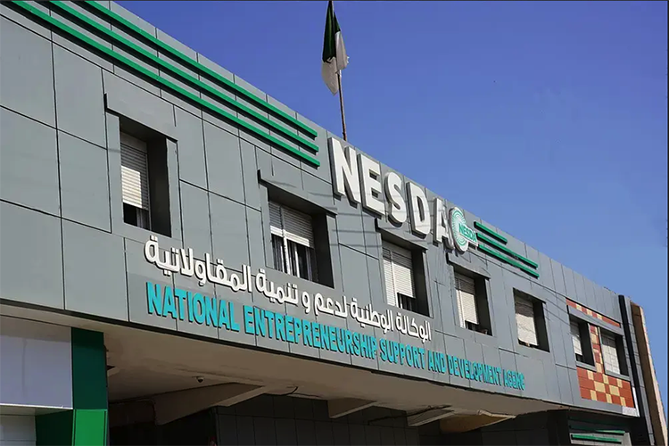 “ناسدا” تطلق منصات رقمية جديدة لفائدة المقاولين