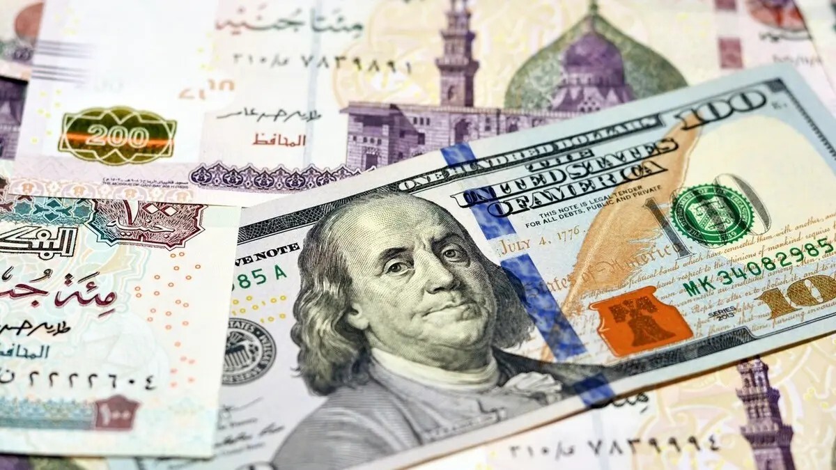 "تحذير من المرحلة القادمة في مصر".. خبير يتحدث عما سيحدث في الاقتصاد
