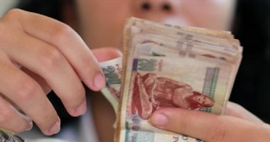 أين يستثمر المصريون أموالهم؟..هربوا من العقار وراهنوا على الأسهم والذهب