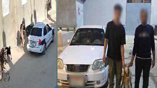 القبض على المتهمين بسرقة رأس غنم في شمال سيناء