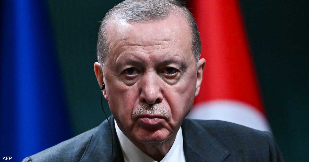أردوغان لموسكو وكييف: استهداف السفن المدنية غير مقبول