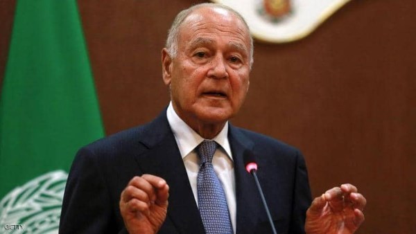 أبو الغيط: الرئيس السيسي أنقذ مصر ويؤمن مستقبل أولادنا